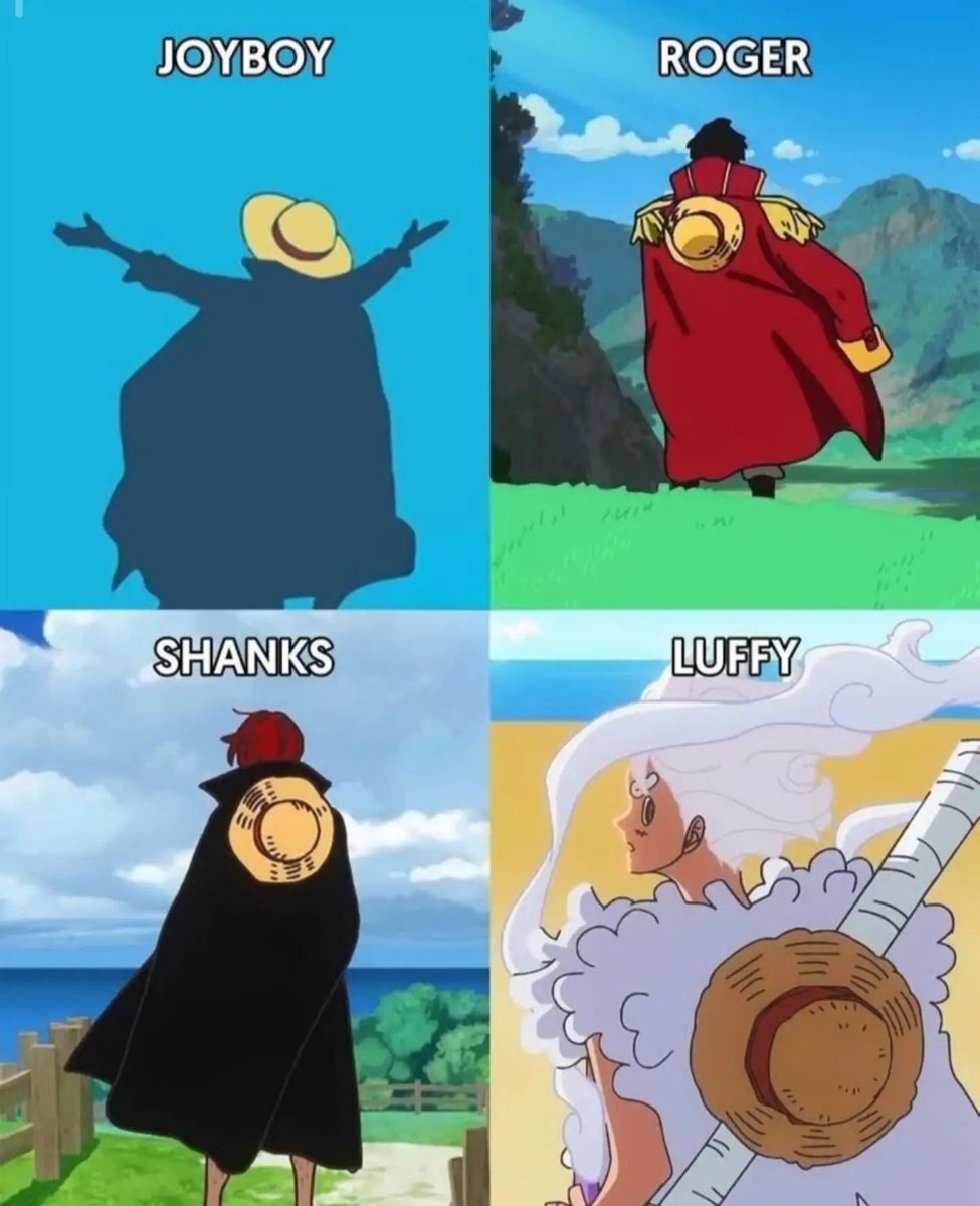 One Piece Daily tweet media