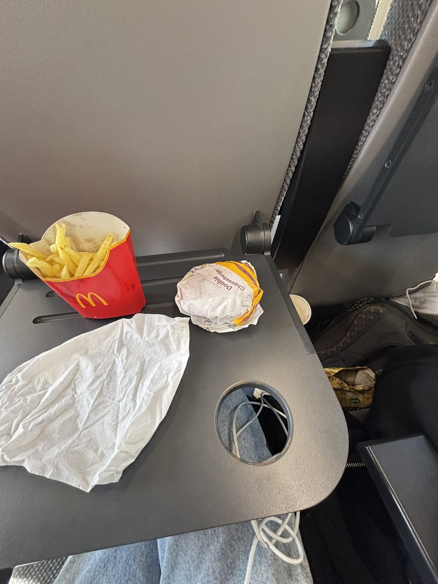blanchebarks's tweet photo. crying uncontrollably in the train because my friend meetup is over but at least i got mcdonalds https://t.co/US1FufhNWC