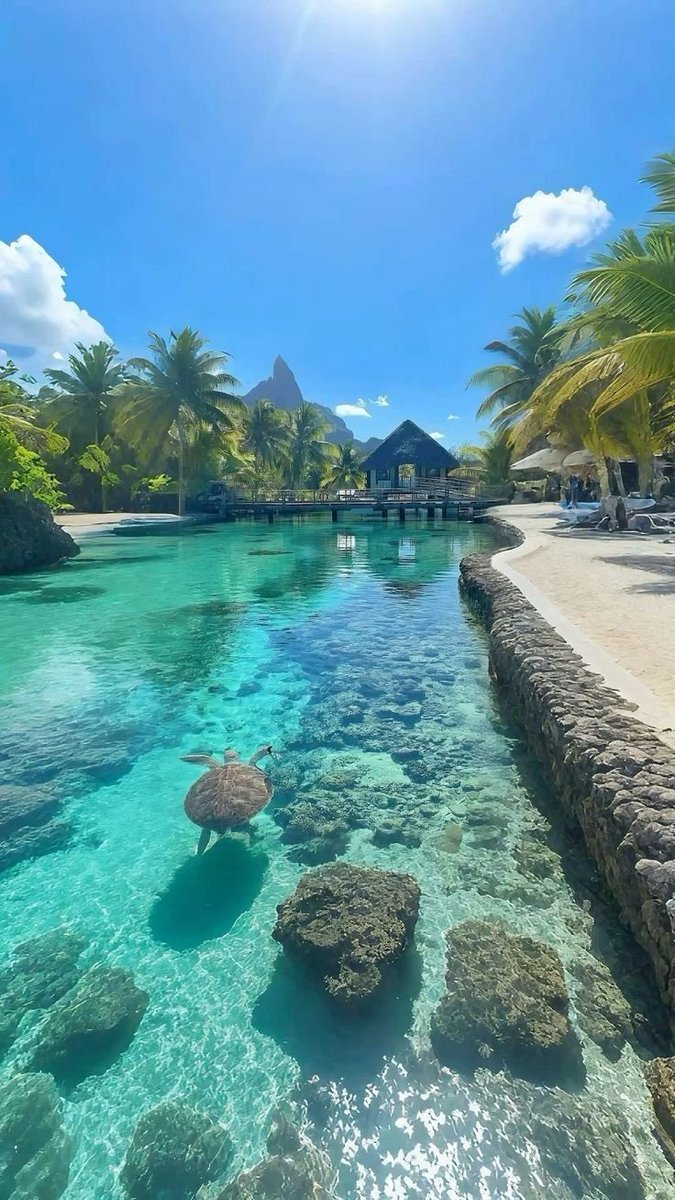 earthwhisperss's tweet photo. Bora Bora the Paradise. https://t.co/Czz025n2jw