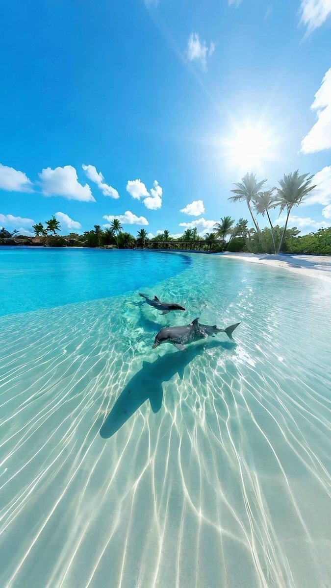 earthwhisperss's tweet photo. Bora Bora the Paradise. https://t.co/Czz025n2jw