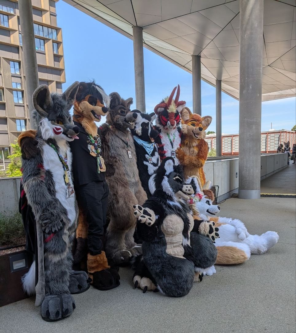 TheKarelia's tweet photo. TheKareliaFursuits Family Group Photo at #Awoostria 2026.
Pics by @chagafoxlion

Fursuiters are @kurasaiyaArt @arkoninu @ranekM @jinx_qoida @rakanhowls @arminaAWD @hatti314 @sorajonaEBC https://t.co/0z0Q3uRU9l