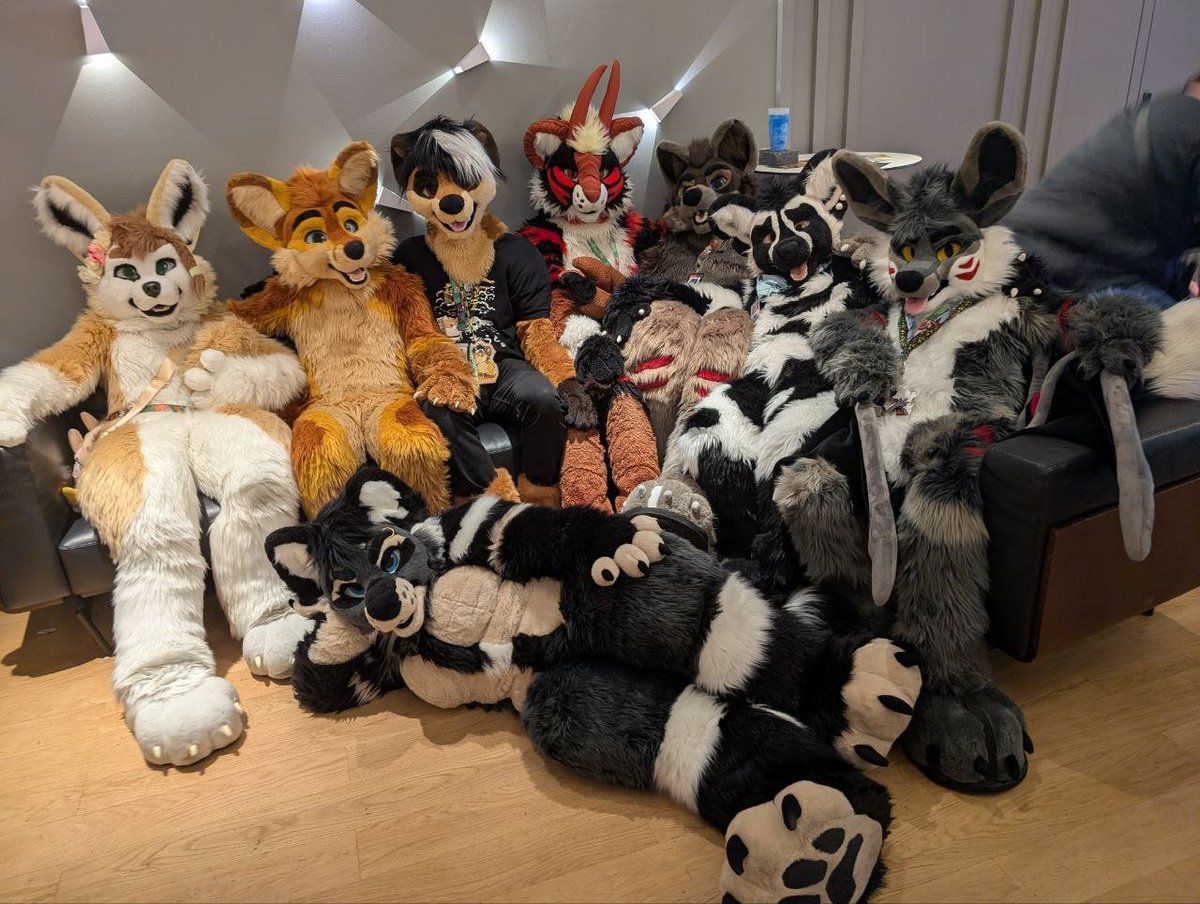 TheKarelia's tweet photo. TheKareliaFursuits Family Group Photo at #Awoostria 2026.
Pics by @chagafoxlion

Fursuiters are @kurasaiyaArt @arkoninu @ranekM @jinx_qoida @rakanhowls @arminaAWD @hatti314 @sorajonaEBC https://t.co/0z0Q3uRU9l