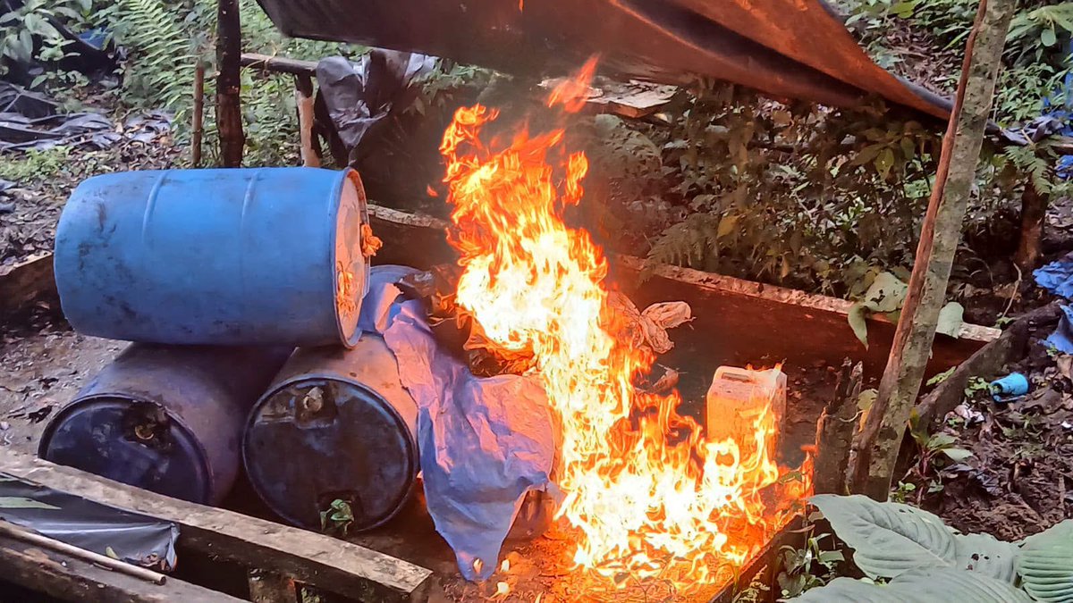 360unifiedtv's tweet photo. #NOTICIAS | ¡Golpe al narcotráfico!
Autoridades destruyeron un laboratorio rústico y erradicaron más de 50 mil arbustos de hoja de coca durante un operativo en una zona montañosa del Parque Nacional Sierra Río Tinto. https://t.co/Q3EuLDUZj2