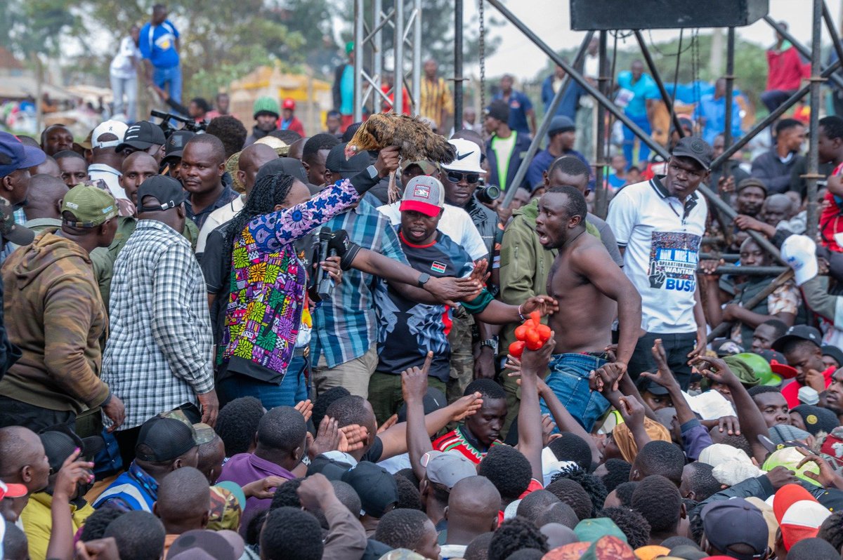 FaithOdhiambo8's tweet photo. Hivi ndo kulienda huku Trans Nzoia. Hii kitu ni mbayaaa!!

Alafu huyu kuku nimepewa tunamuita nani?😆😆 https://t.co/LRVLpQ0RuW