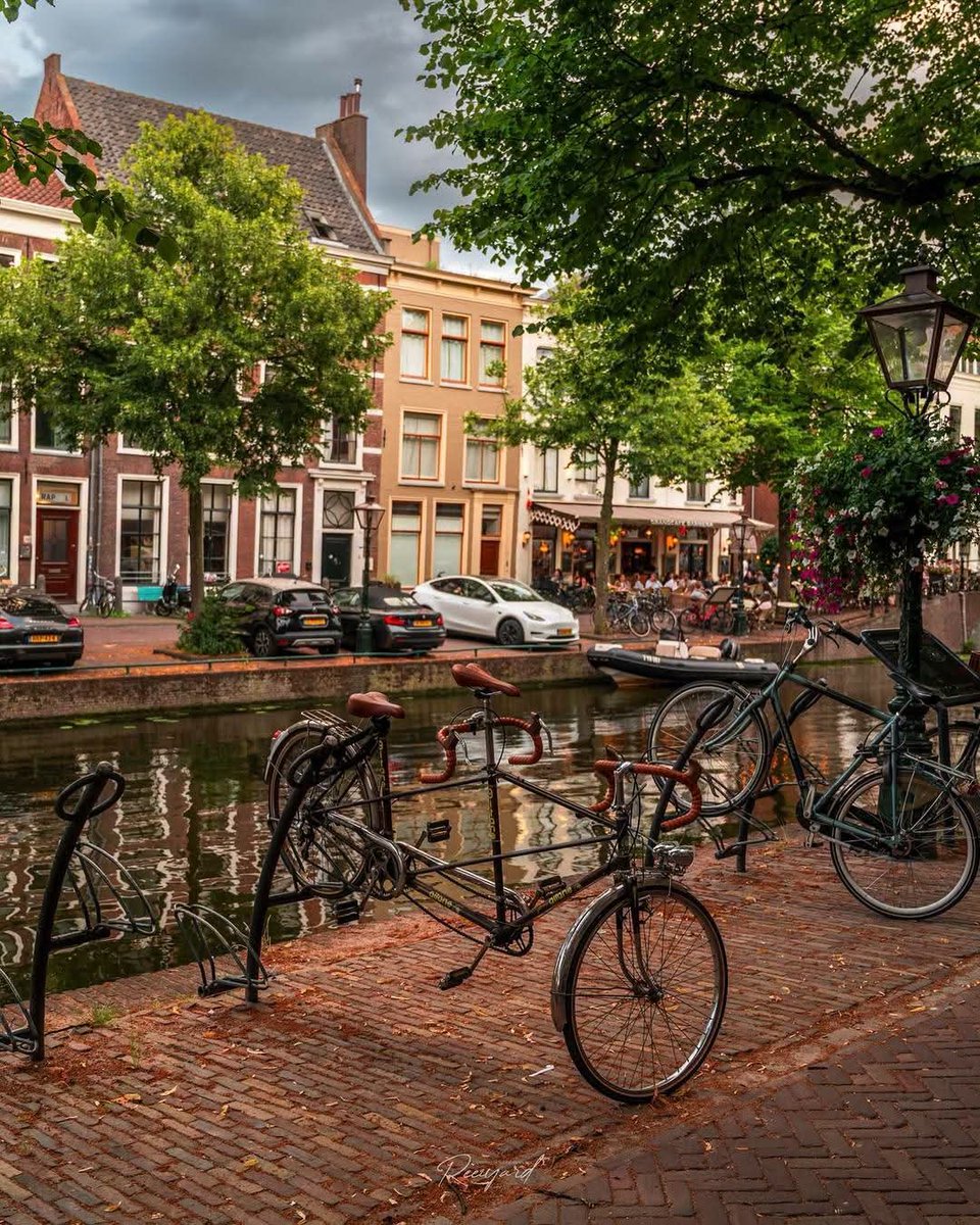 naturebeauty760's tweet photo. Leiden, Netherlands 🇳🇱 https://t.co/oML0hGAoxq