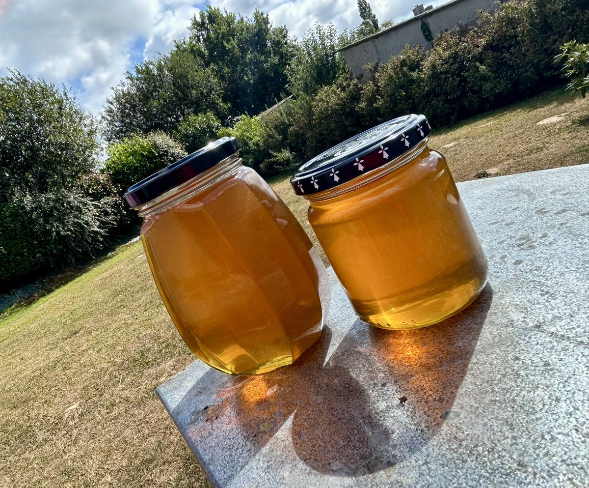 SoCaImpertinent's tweet photo. Dernière récolte de l’année 🐝 
#apiculture
#miel 🍯 https://t.co/l5QQEWrKYX