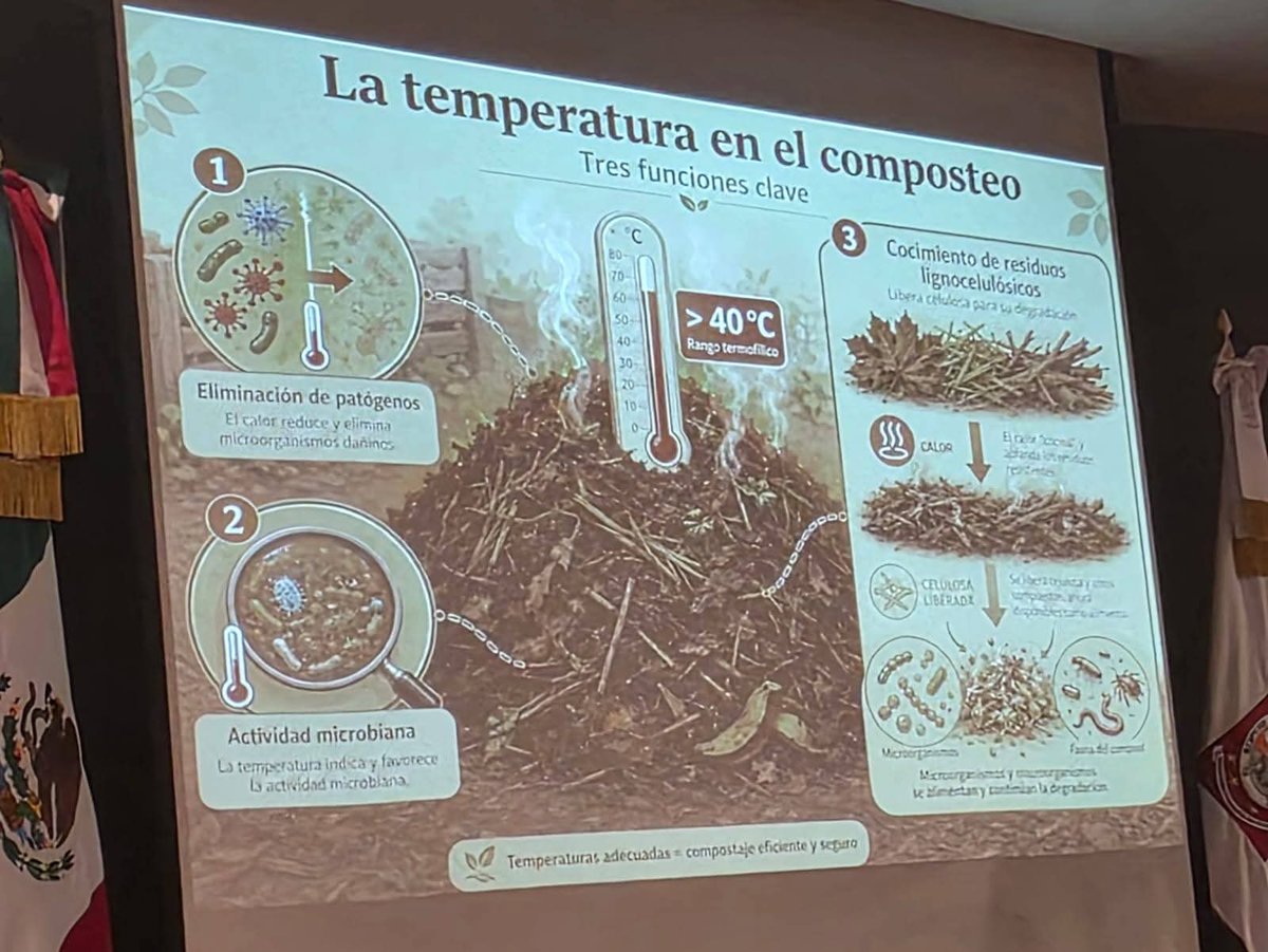 JulioCsarAudelo's tweet photo. Asisti en representacion de Roberto Pérez Delgado  Presidente Municipal de San Pedro Ixtlahuaca al Taller " La composta no se compra se construye: aprendiendo de los proceso naturales" impartido por el Dr Juan Carlos Alvarez Seferino de la UAM ( Azcapotzalco) https://t.co/cT8fqToJnL