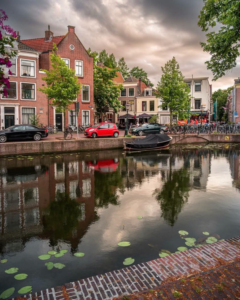 naturebeauty760's tweet photo. Leiden, Netherlands 🇳🇱 https://t.co/oML0hGAoxq