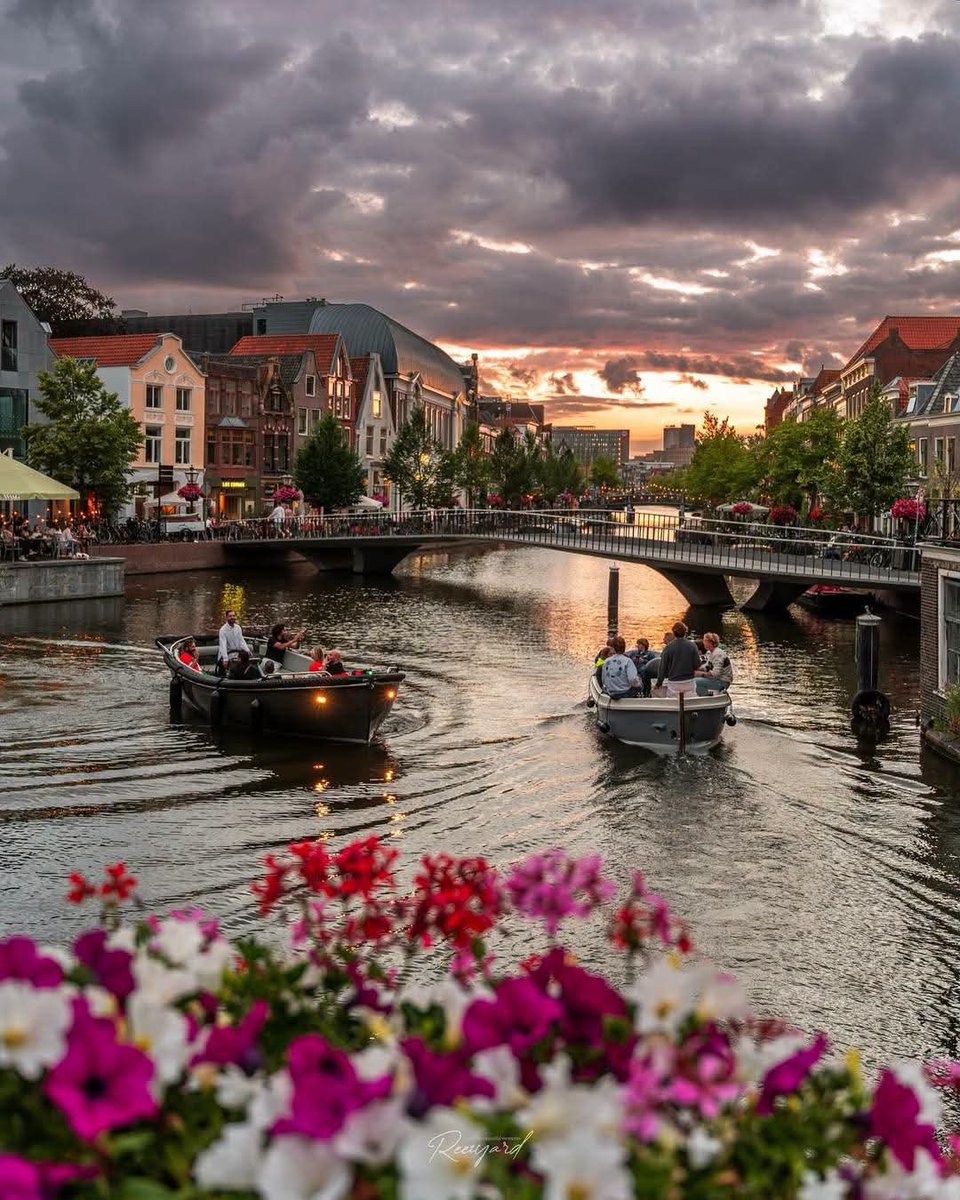 naturebeauty760's tweet photo. Leiden, Netherlands 🇳🇱 https://t.co/oML0hGAoxq
