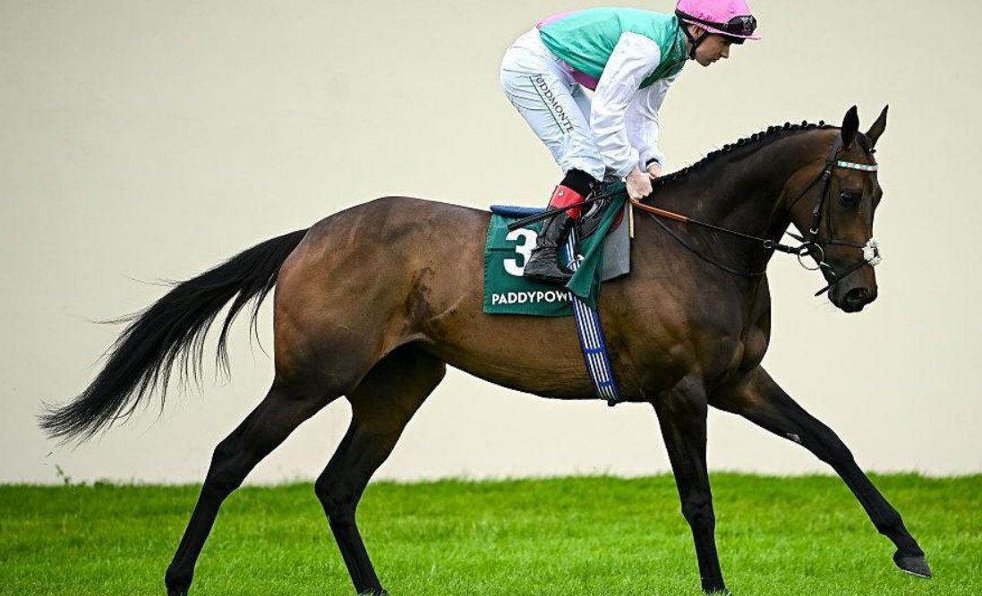 FrankelWatch13's tweet photo. As a fan, I love Juddmonte Farms.
It is incredible how they are able to churn out these top top  class horses years after years.

In a short period time, they have bred the likes of ENABLE, BLUESTOCKING and now KALPANA.

These mares are not simply Gr1 winners but Gr1 winners at the very very high end.

What an operation.