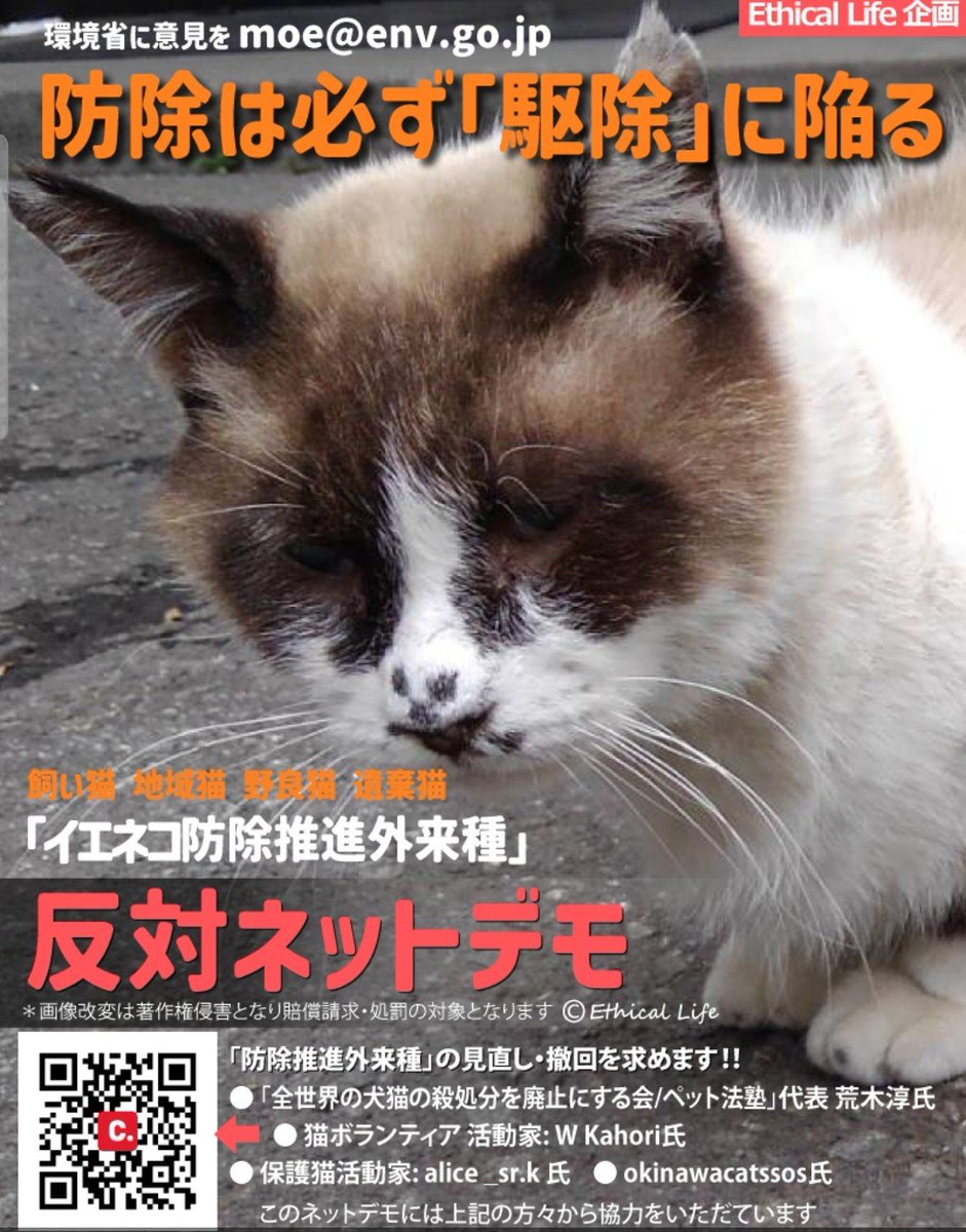 Sea_381's tweet photo. #イエネコ防除推進外来種反対
私は、この政策は虐待被害を誘発すると思うので反対します。
どの生き物も一生懸命生きています。
人間が色々決めたりするべきではないと思っています。
ただその場所で生きているだけです。 https://t.co/nUTCz28xio