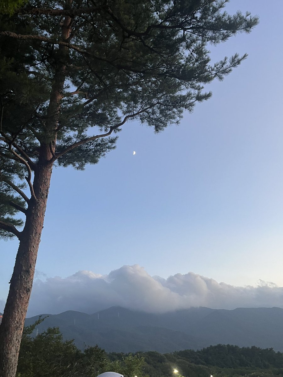 dalkong_star's tweet photo. 안녕
보고싶었어
BIN https://t.co/FUhDKJyWwD