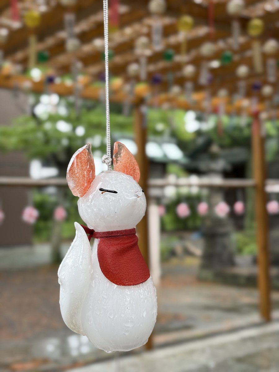 kanaru1124's tweet photo. 本日、竹駒神社さんへ夏詣の参拝してきました♪お天気は終始雨でしたが、涼しく過ごせて良かったです。参道の風鈴棚🎐がお狐様達でとても素敵でしたよ。
雨も風情があって良いですね。 https://t.co/zoomea4Ubs
