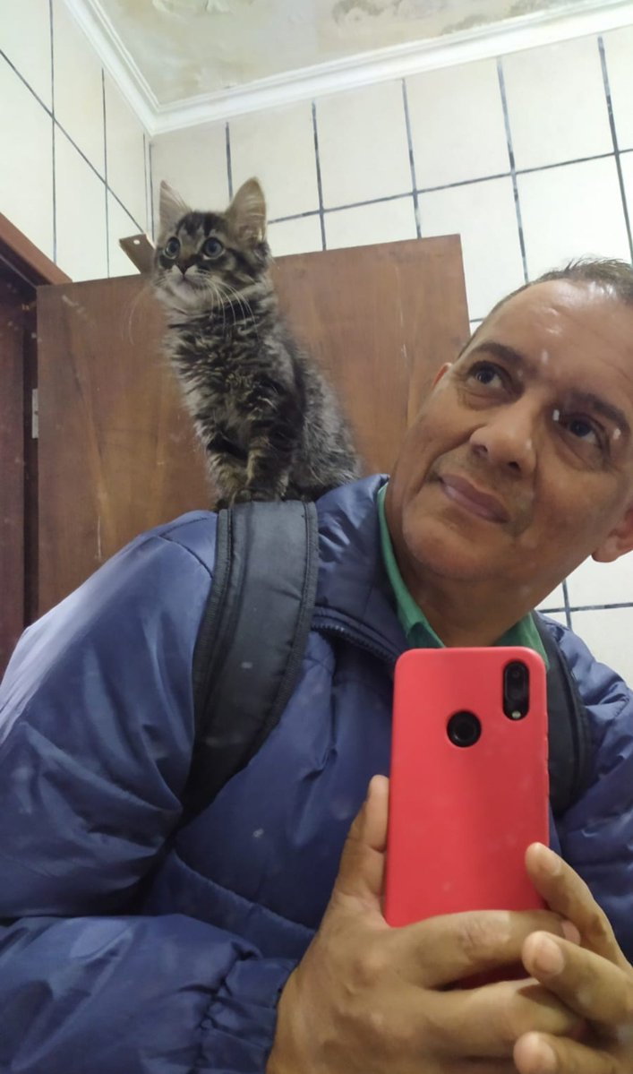 MarvinGayeGoat's tweet photo. tive que tomar banho na casa da minha irmã e me deparo com esse boi que quase nao reconheci https://t.co/JaMU5Wtcny
