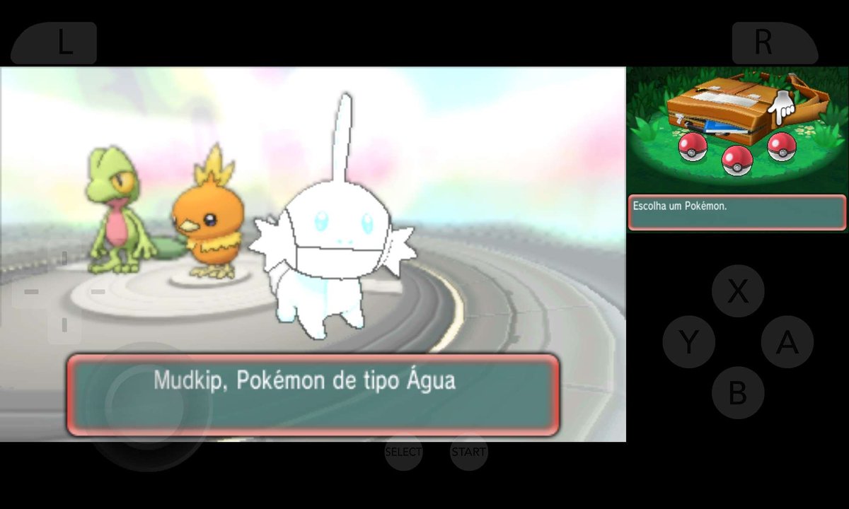 Reric_Costa's tweet photo. saca só, mal comecei o save e já apareceu o primeiro bug: Mudkip com albinismo kkkkk https://t.co/p6wo6mg3vU