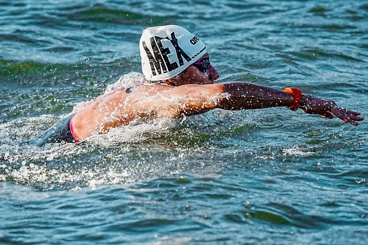 OlimpismoMex's tweet photo. ¡Medalla de oro! 🥇🇲🇽

La segunda para la delegación mexicana llegó en la Natación en Aguas Abiertas.

Paulo Strehlke reafirmó su lugar como el mejor de la zona y uno de los mejores del mundo al subirse a lo más alto del podio en la prueba de los 10km.

El bronce también fue para México con Diego Obele.

🥇 Paulo Strehlke🇲🇽 - 2:02:34
🥈 Jeison Rojas🇨🇷 - 2:05:03
🥉 Diego Obele🇲🇽 - 2:05:07