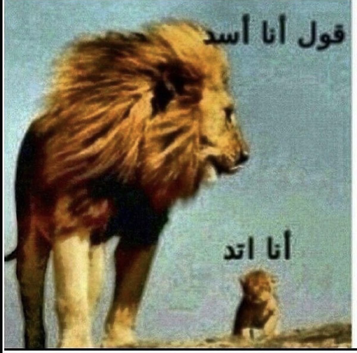 sard3355's tweet photo. قلت ل ابوي بأخذ قاب يير عشان ادخل البترول بالأخير انقبلت كيمياء بالزلفي https://t.co/zUaocGixSr