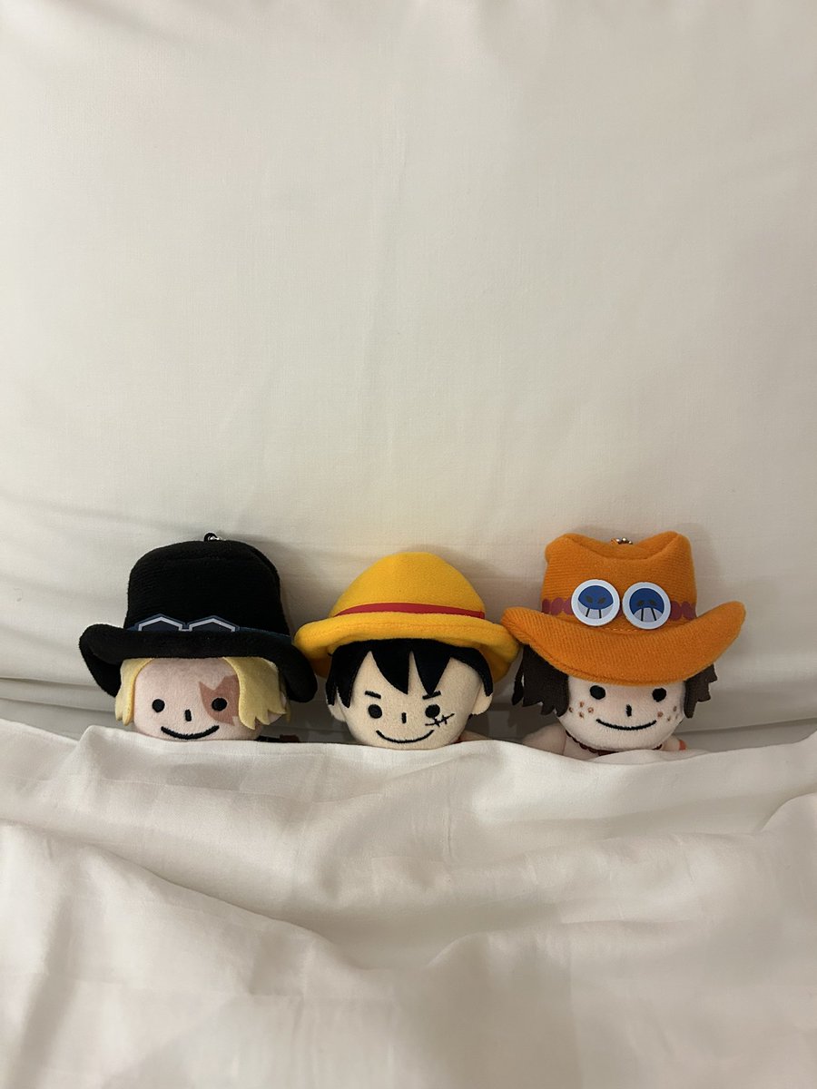 쩝 tweet media
