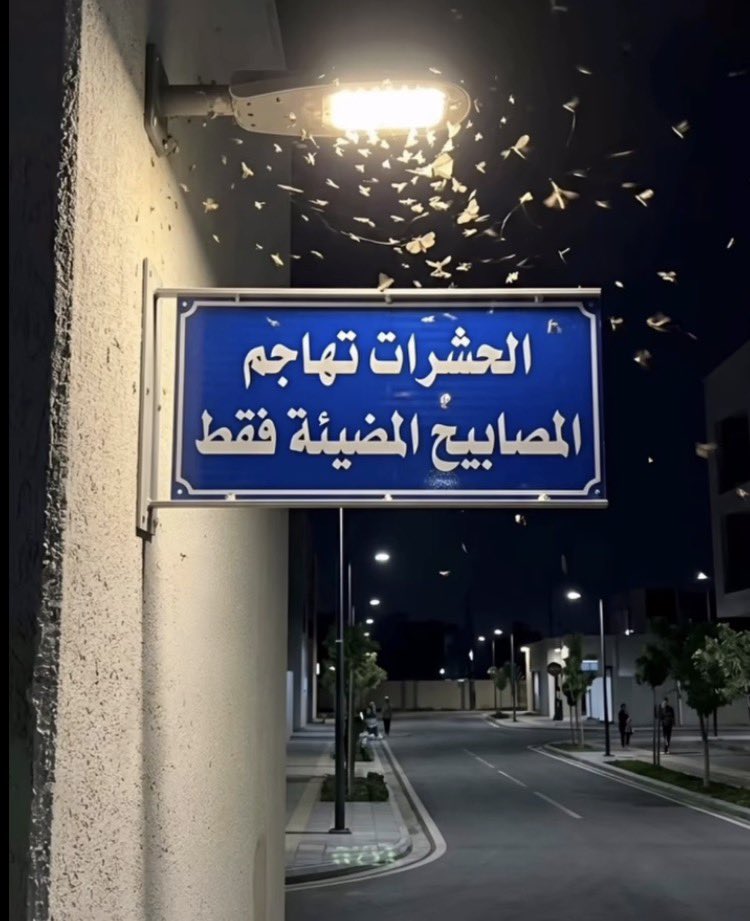 mohamdalshol's tweet photo. ليش ثمن التألق ان تصفق لك الأيادي بل ان تتحمل كل ما يجذبه بريقك من أذى.

فقط أ��تمر ولا تلتفت https://t.co/rwQRcCK4fO