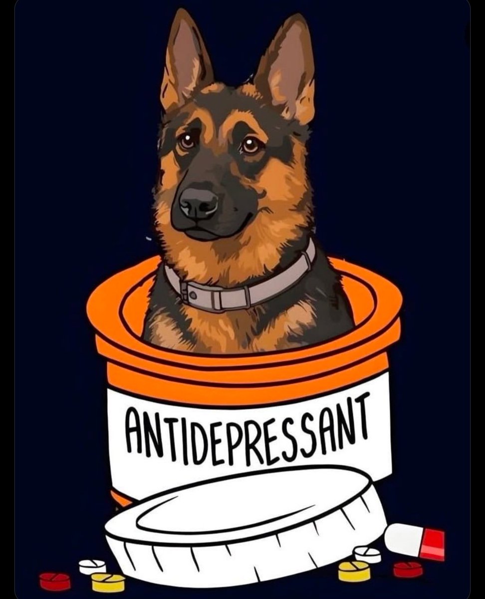 Silestoknot457's tweet photo. Who else can't resist those adorable paws and wagging tails? 🐕✨👇
https://t.co/AA9uZkuOvL
pawlove
#Trucking 
#dogs
#AUSummit https://t.co/YJcWKiKTDa