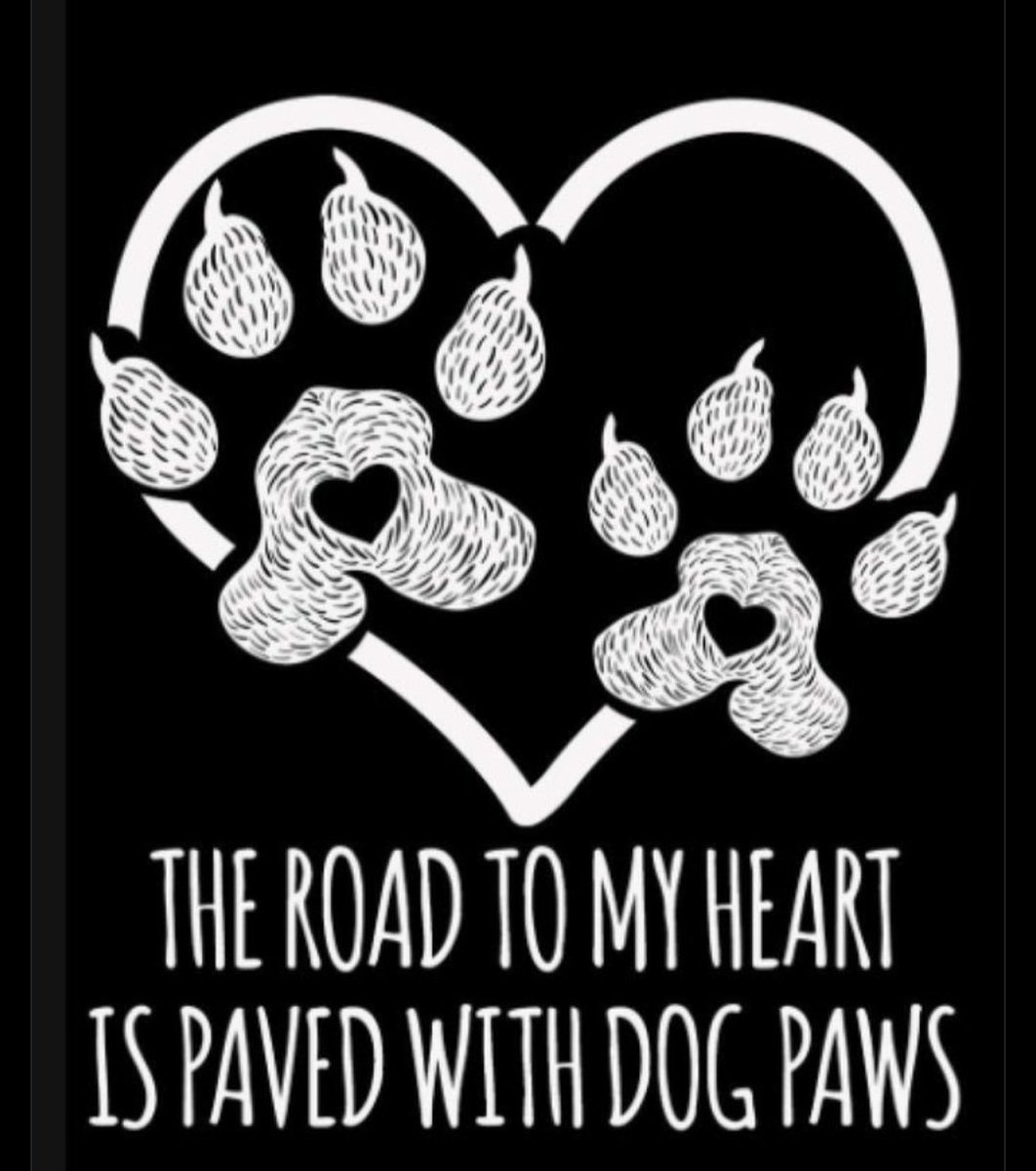 Silestoknot457's tweet photo. Who else can't resist those adorable paws and wagging tails? 🐕✨👇
https://t.co/AA9uZkuOvL
pawlove
#Trucking 
#dogs
#AUSummit https://t.co/YJcWKiKTDa
