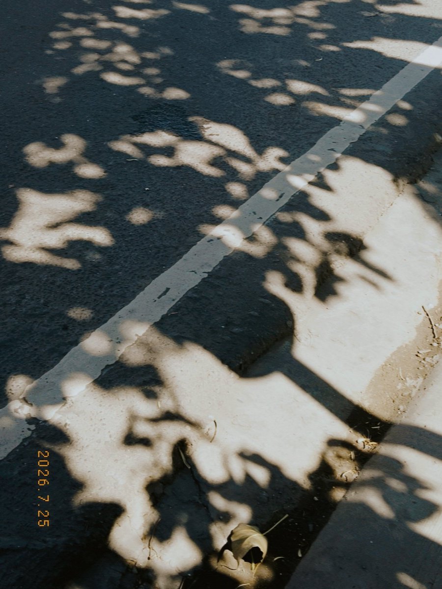 _ahuva_min's tweet photo. In love with the subtle things. https://t.co/jkwW5LeZ34