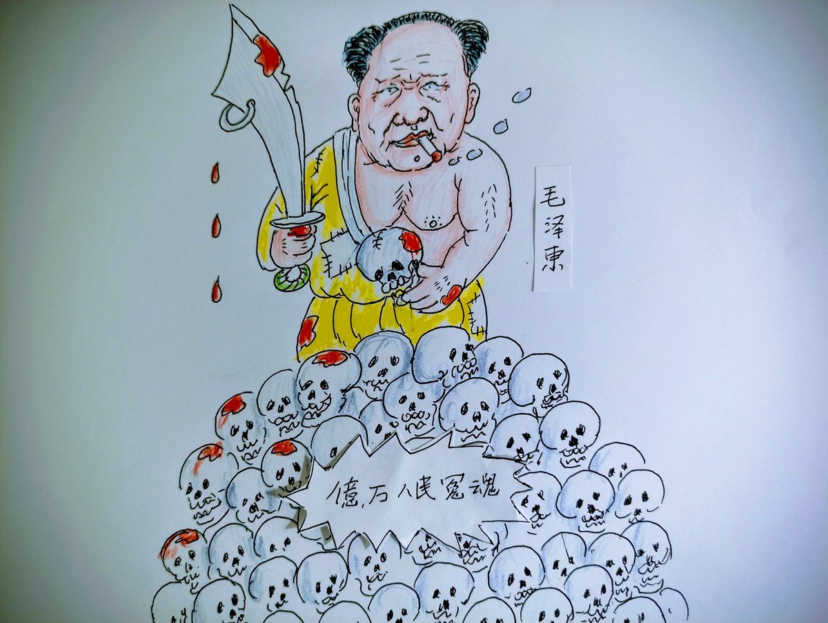 YueShuisang 海星 tweet media