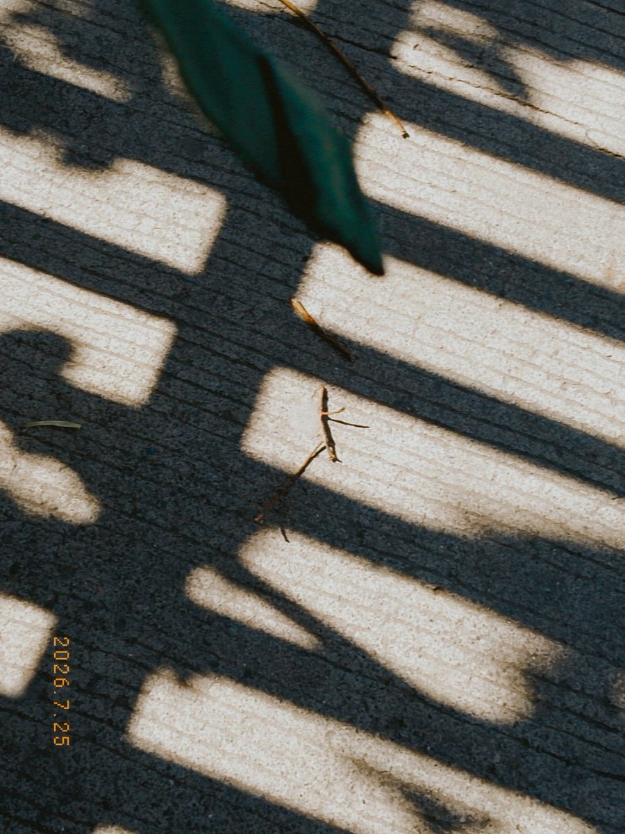 _ahuva_min's tweet photo. In love with the subtle things. https://t.co/jkwW5LeZ34