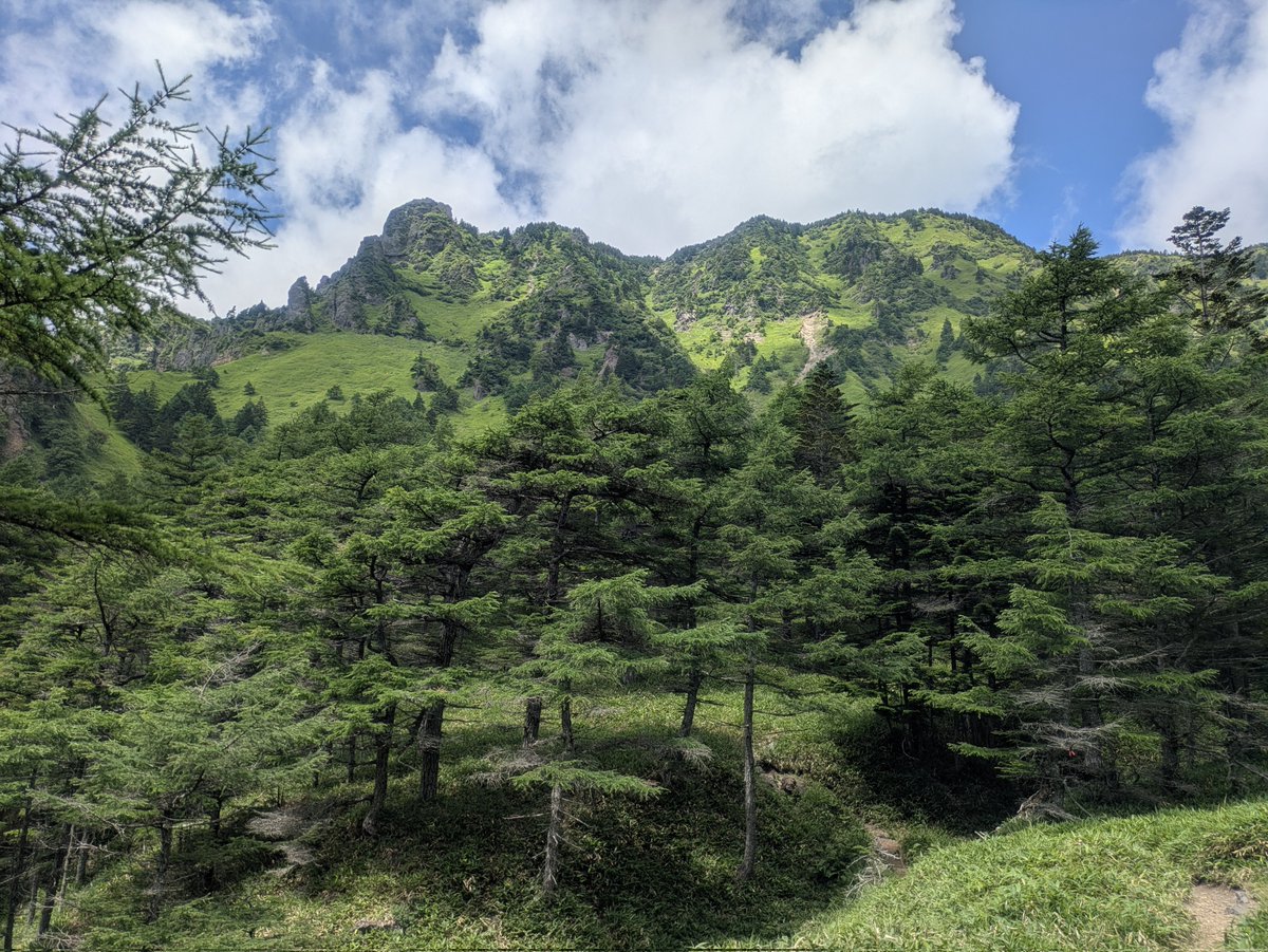 kerela9ma's tweet photo. 車坂峠〜草すべり〜前掛山〜Jバンドを周回。午前中はガス多めで前掛山の稜線は爆風でした… https://t.co/dJvL8MITdR