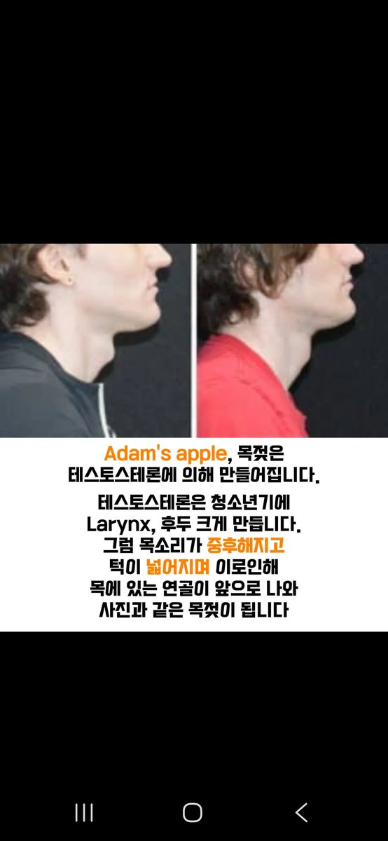 chi386547755027's tweet photo. 현대 남성들의 테스토스테론이 절감해서 남성들의 울대골이 점점 작아진답니다... https://t.co/1x3kYua3Kg