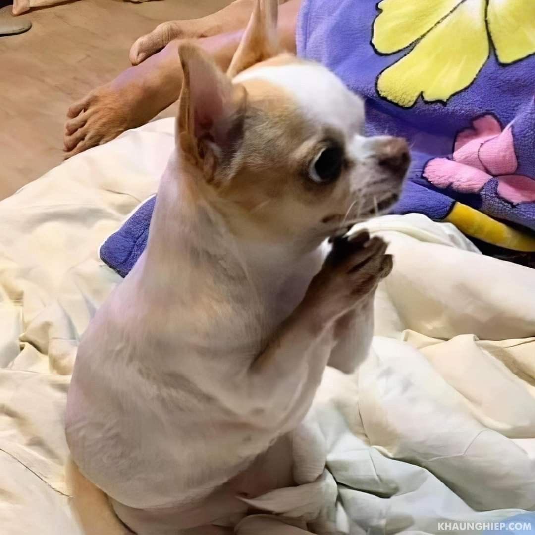 듀삼 tweet media