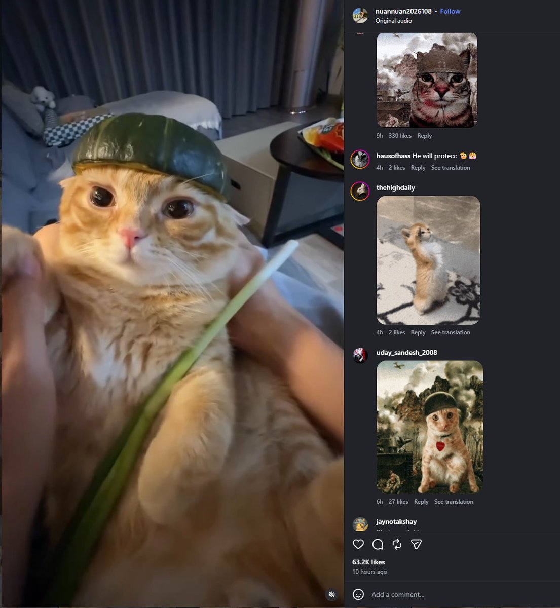 GeraldDevor's tweet photo. This cat is going insanely viral for wearing a melon hat with that looks exactly like a trench hat

Over 60k likes and 400k views in 10 hours

They are comparing him to Zazu in comments and making

meme out of him on a trench background

Isnt this coded?

https://t.co/HMHFZxglRV https://t.co/1dO11BTiRY