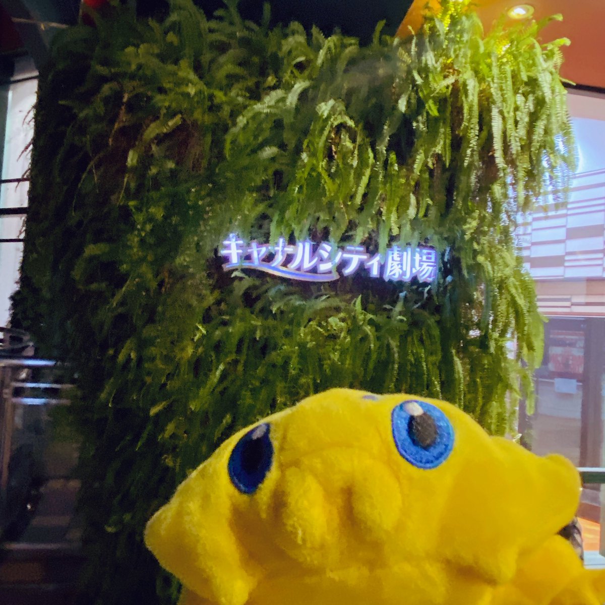 OyatsuF's tweet photo. アケチコ！ 観てきたー！あんなに時間長いのにあっという間に終わった上にもっと観たかったー！ってなったよね👀
出来損ないの博多ぶらぶらがアケチコに伝わってなくてすごくよかったわ🤭
できる事ならあと何回かみたいーー！ https://t.co/t7aWwq5CmN