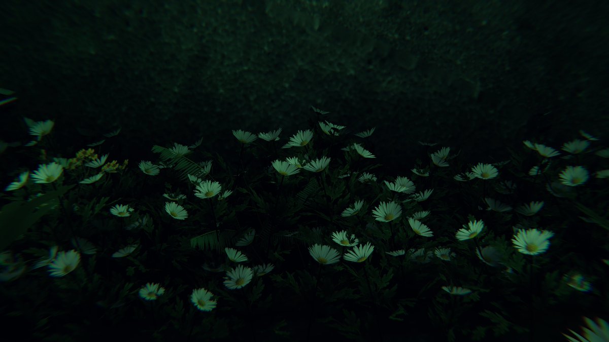 Min_VPhoto's tweet photo. World: Flower Tunnel
By. Jankku

#VRChat
#VRChat_world紹介
#VRChatPhotography https://t.co/SQkwHQHss9