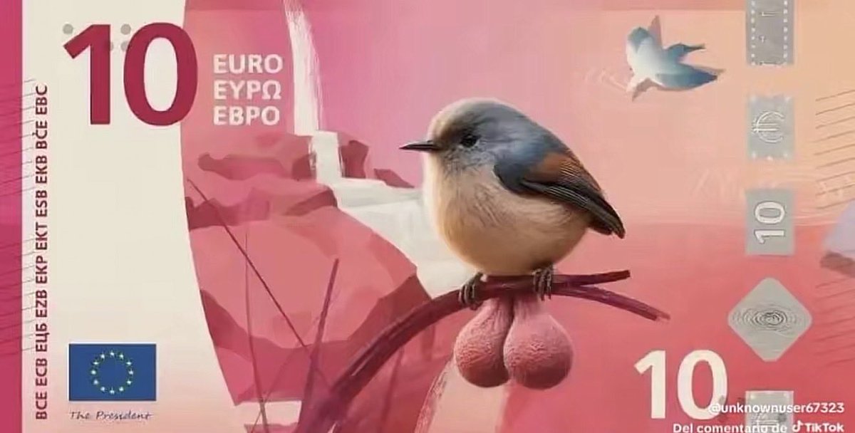 aurex00's tweet photo. @theEuropoor https://t.co/4sxYudjoXB