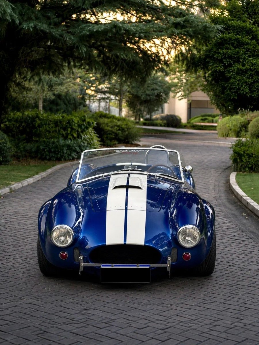Catherine80198's tweet photo. A 1965 Shelby Cobra do you like it? https://t.co/JzBuH3mZnd