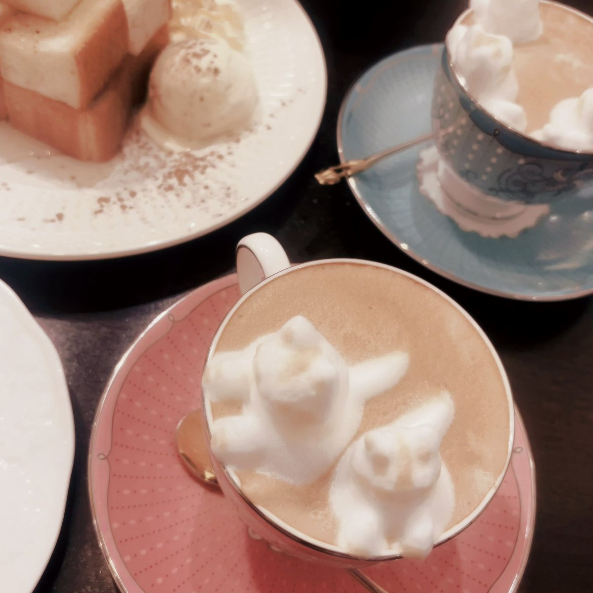 sky_tsuki_'s tweet photo. 行きたかった喫茶店🐱 https://t.co/h2RsyuBUDB