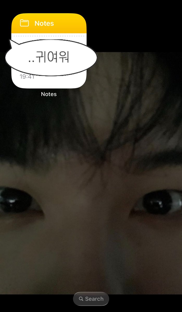 86lees's tweet photo. 이 사진 배경화면으로 했더니 
볼 때마다 너무 코엽고 웄김 크하학

다들홈화면에눈반짝승구심어가세요 https://t.co/0dittEeVF0