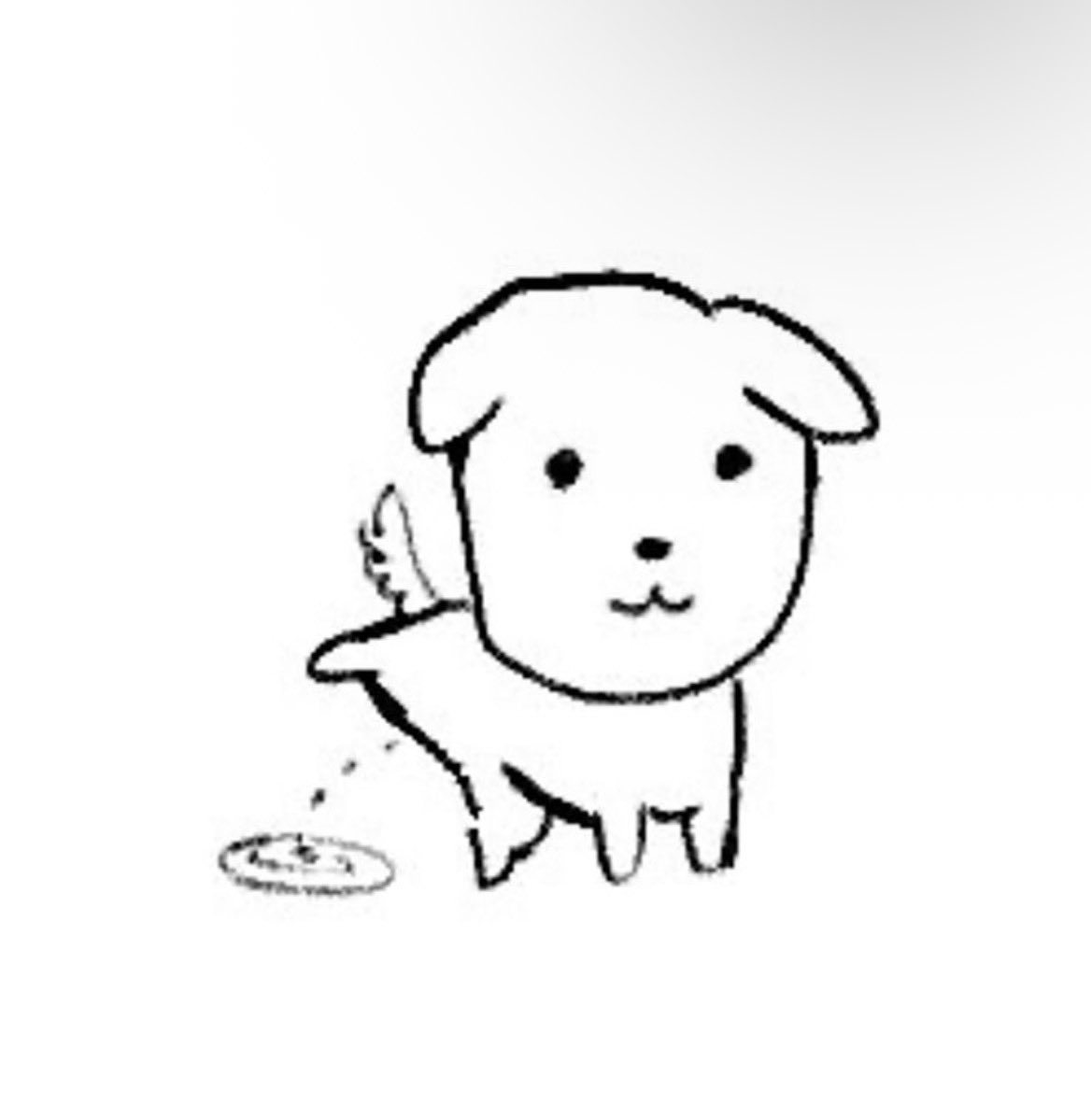 콩쿠 tweet media