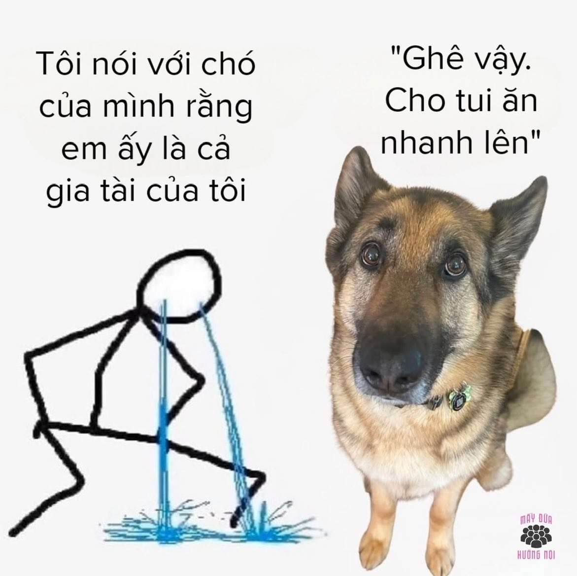 BarbaraPer5m0u's tweet photo. Tôi biết bạn buồn nhưng bụng tôi đang đói https://t.co/bH2LvUbrzB