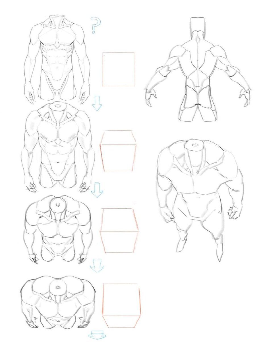 LimboSketch's tweet photo. Body perspective practice you should try! https://t.co/l988iR7v5O