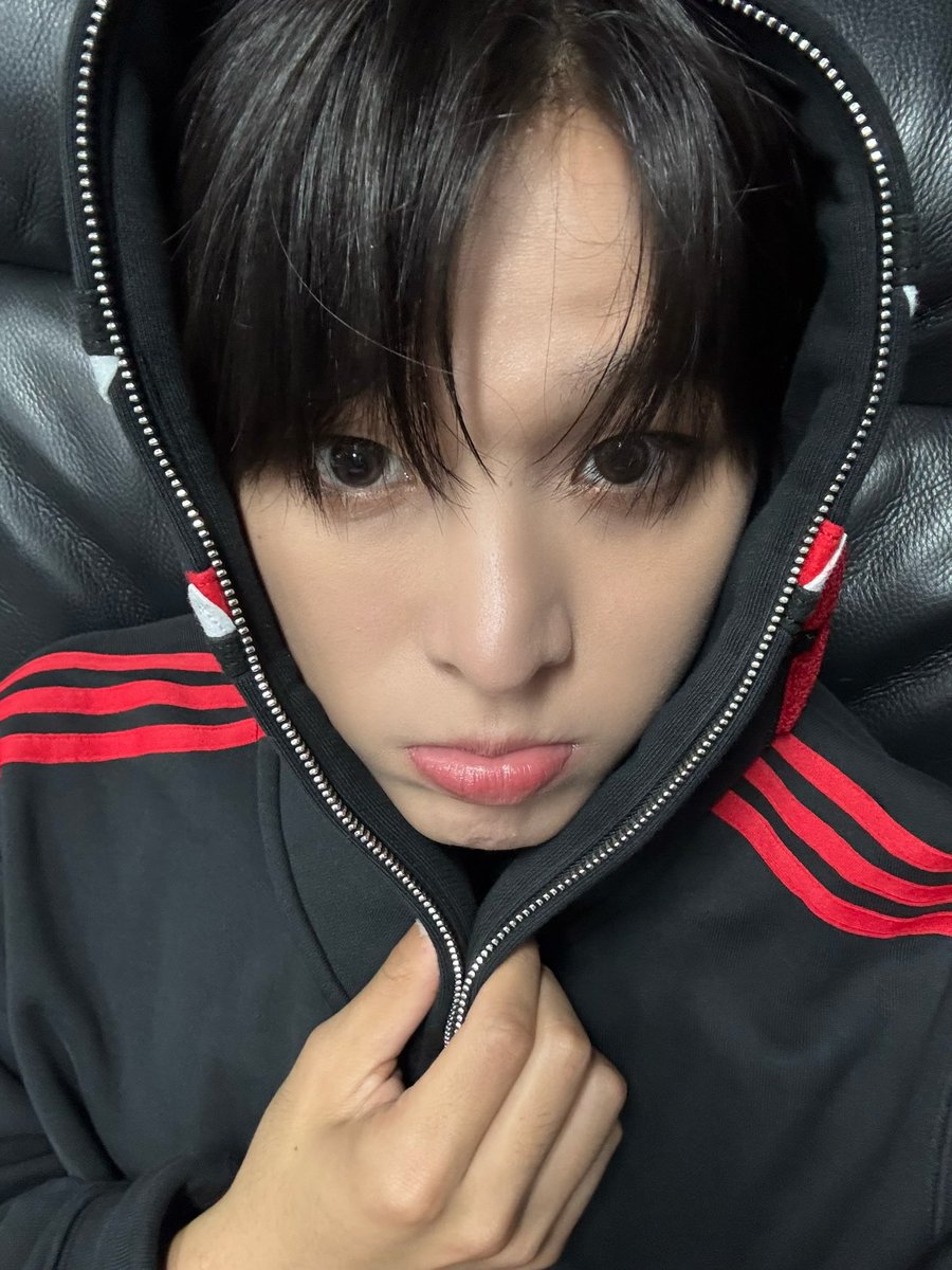 N년 전 오늘의 리쿠 tweet media