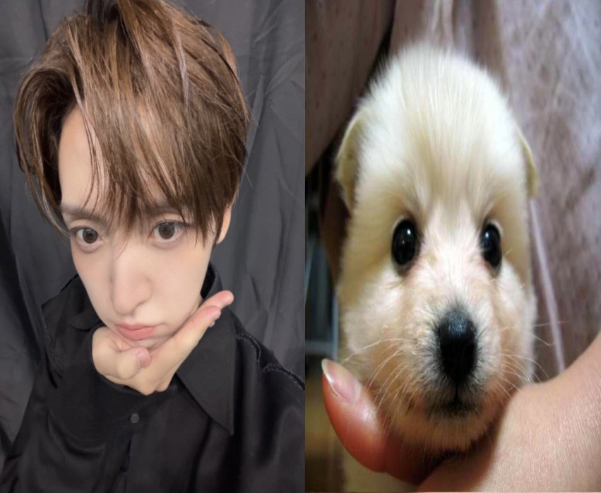dh1overs's tweet photo. 💩🐶👈🏻👈🏻👈🏻♡♡ https://t.co/4oDx6ro4AY