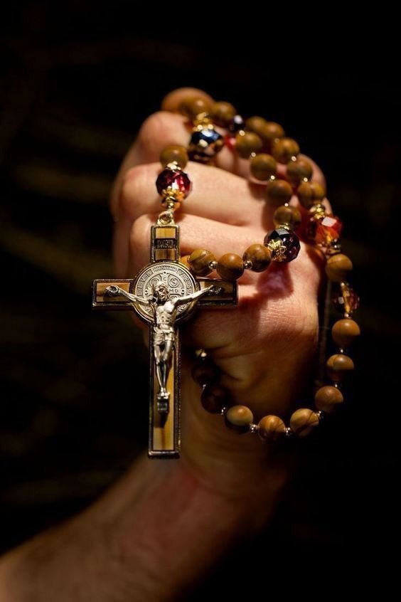 Reynald15023860's tweet photo. No me las quiero dar de místico a estas alturas, cada día me siento más burro, pero se que no debo callarme, la Virgen con el arma bendita del rosario, atará y amordazará al maligno, no lo dudemos por un instante. Solo hay que usar esa bendita arma de amor rezar el Santo Rosario todos los días y ojalá en familia, comulgar con frecuencia y confiar en nuestro buen Dios.
Reynaldo 📿🙏📿