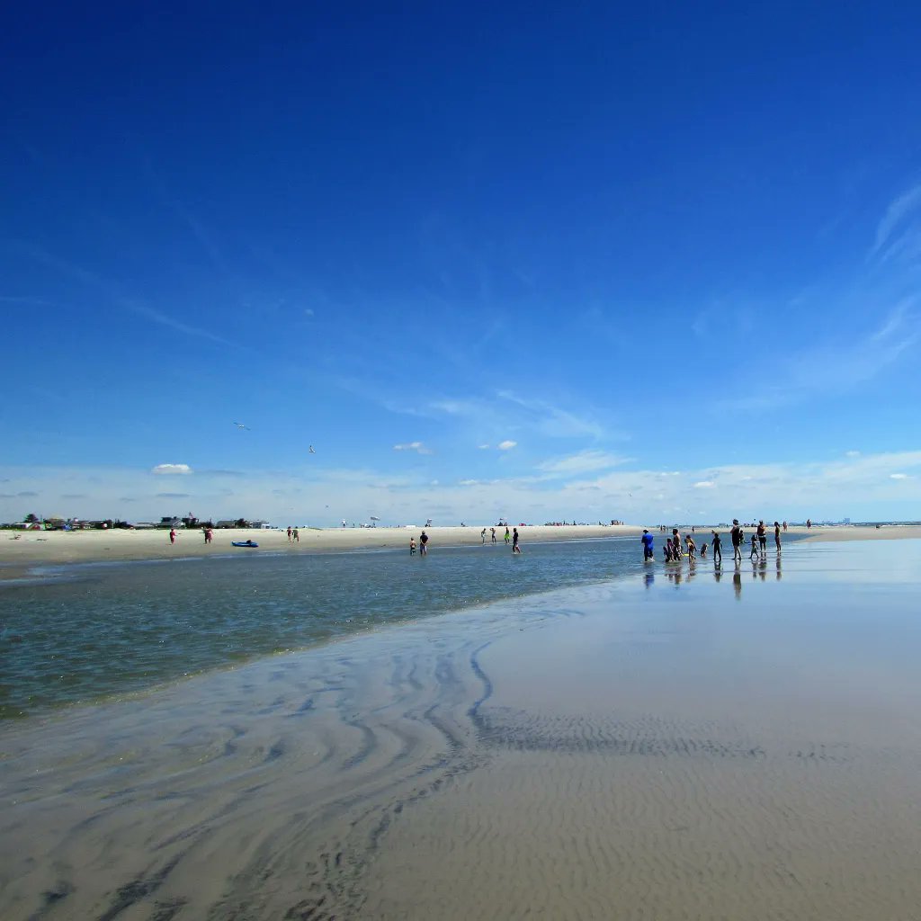 ark_flower's tweet photo. @DailyPicTheme2 #DailyPictureTheme #Idyllic is beachy, long stretches of sand with shells and sand bars exposed by the outgoing tide. Big sky adds a glorious touch of blue. Strathmere New Jersey across the inlet from Corson's State Park. https://t.co/P6Is2WUVSK