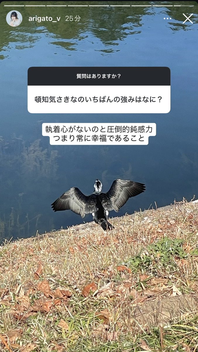xt_lxxset7's tweet photo. 私が質問したわけじゃないけど、回答が素晴らしくて感動して、スクショしてあるやつは何個もある https://t.co/FuCR2qSvGi