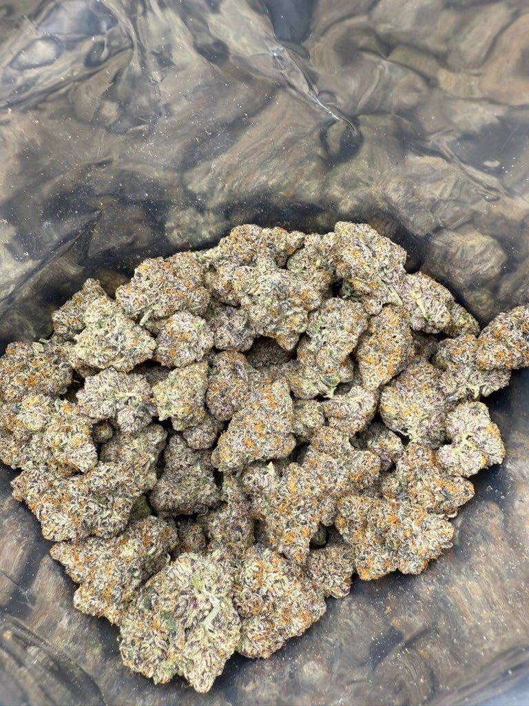 kushmatt tweet media
