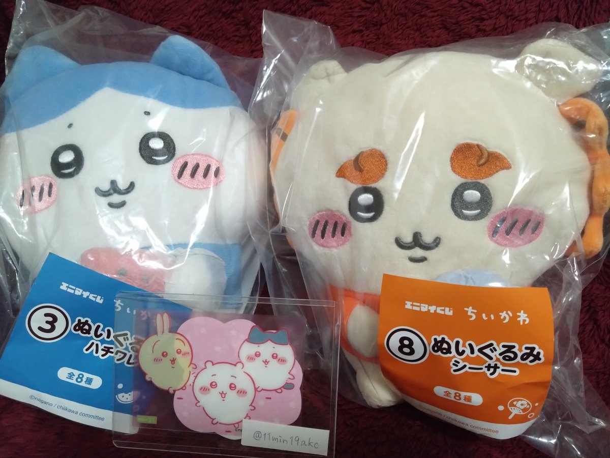 11min19ako's tweet photo. 【交換】エニマイくじ  ちいかわ

譲：ぬいぐるみ(ハチワレ・シーサー)

求：ぬいぐるみ(うさぎ・くりまんじゅう)

大阪手渡し優先、郵送は応相談

よろしくお願いします。 https://t.co/HoaCgtL35Q