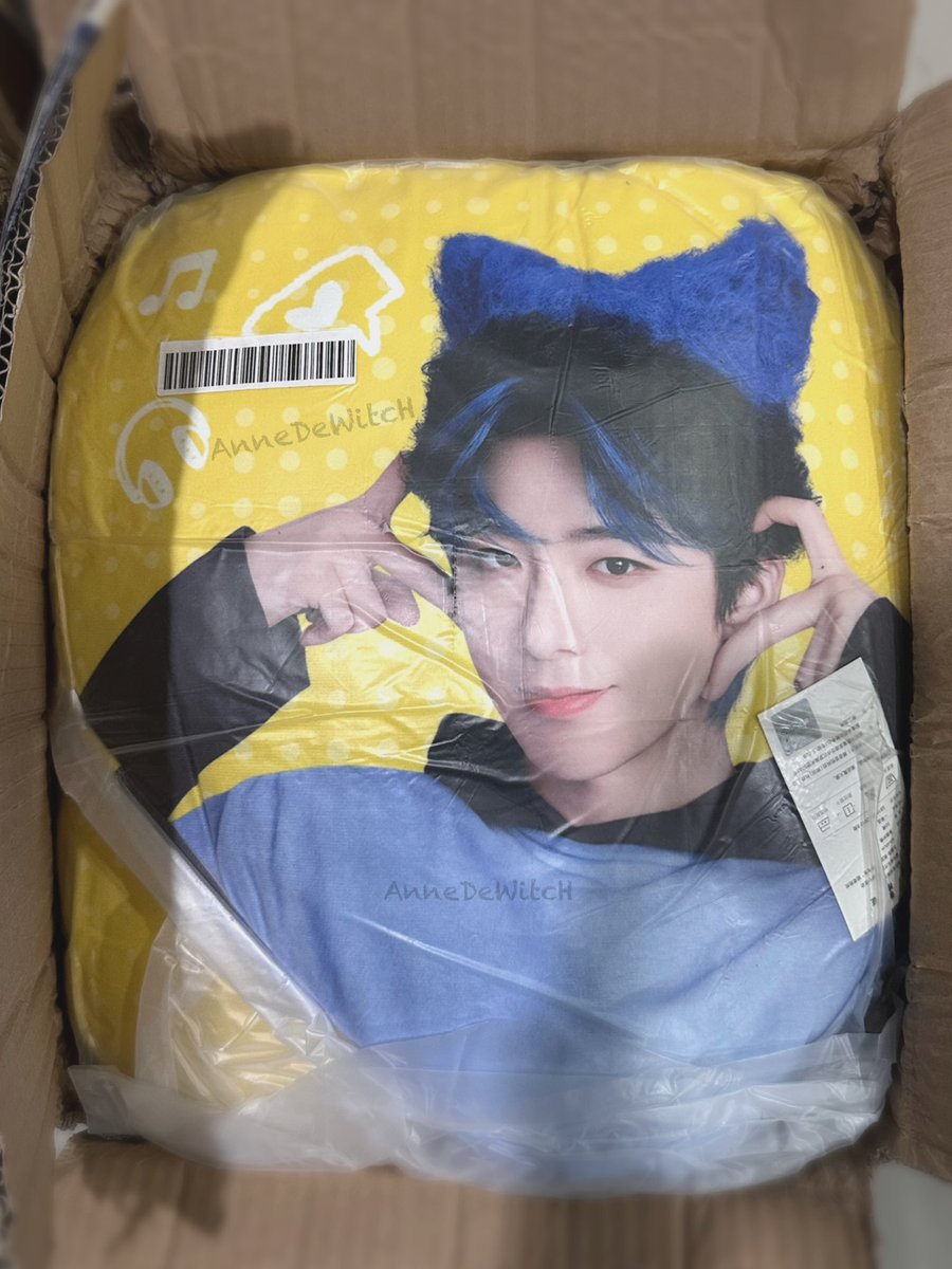 AnneDewitcH's tweet photo. After 3 months… my 平凡 pillow finally arrived. 🥰
#หลิวอวี่หนิง #LiuYuning #刘宇宁
#KuGou https://t.co/WaNZmxraWD