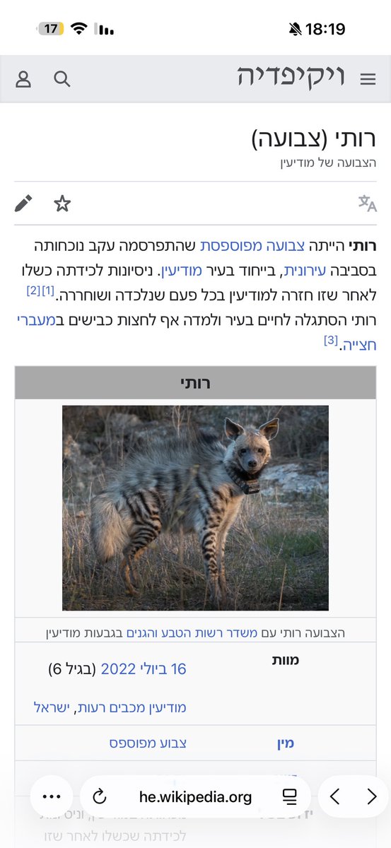 RNechemya's tweet photo. מודיעין עיר הזויה ברמות https://t.co/eriMsnKDct